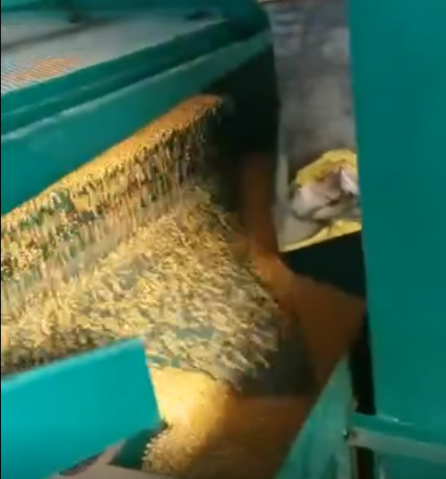 糧食精選機工作視頻